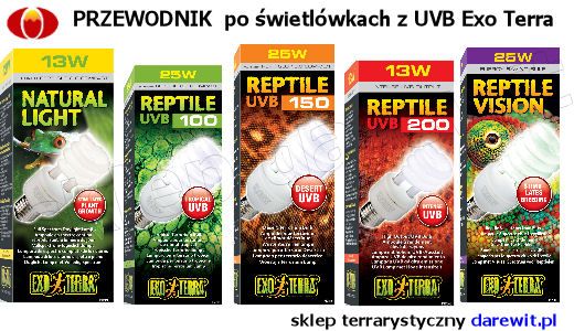 Exo Terra świetlówki Reptile UVB żarówki z UV przewodnik